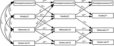 Cross- and Within-Domain Associations of Early Reading and Mathematical Skills: Changes Across the Preschool Years